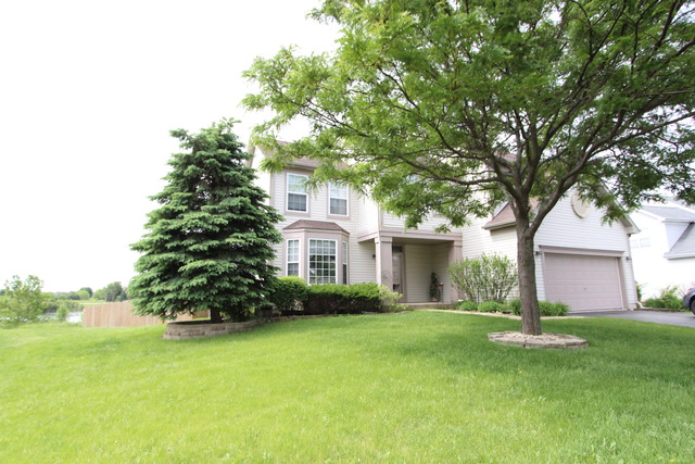 11764 S Decathalon Ln, Plainfield, IL 60585 photo 1
