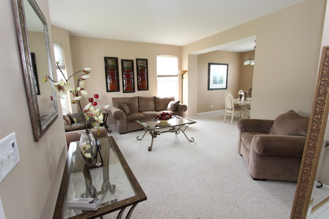 11764 S Decathalon Ln, Plainfield, IL 60585 photo 3