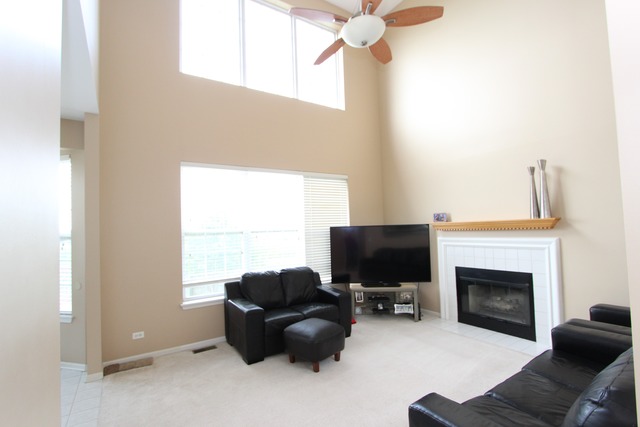 11764 S Decathalon Ln, Plainfield, IL 60585 photo 7
