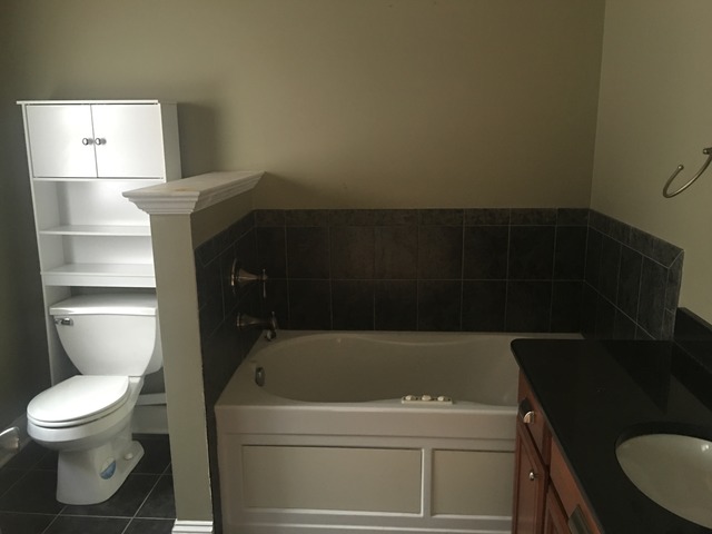 4613 S Langley Ave #2N, Chicago, IL 60653 photo 12