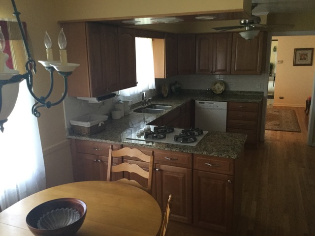 301 E 89th St, Chicago, IL 60619 photo 4