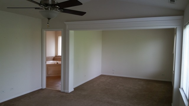 247 Lillian Pl, Bartlett, IL 60103 photo 14
