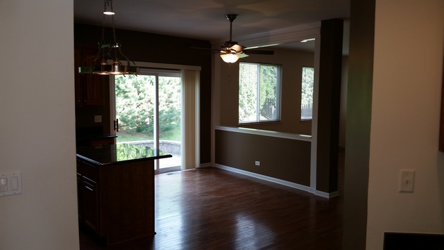247 Lillian Pl, Bartlett, IL 60103 photo 4