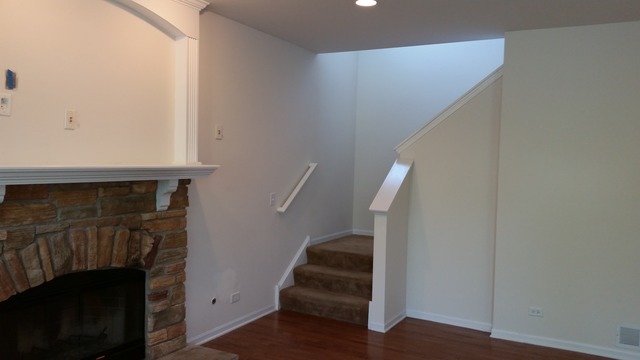 247 Lillian Pl, Bartlett, IL 60103 photo 11