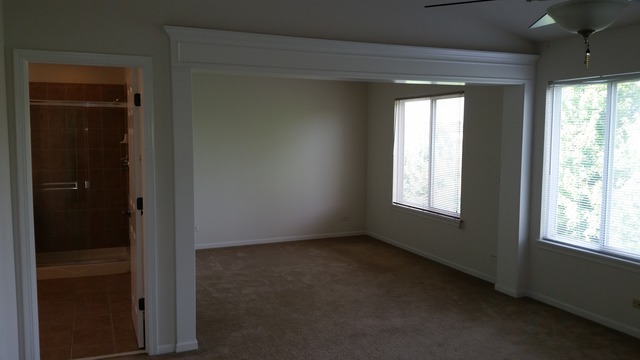 247 Lillian Pl, Bartlett, IL 60103 photo 13