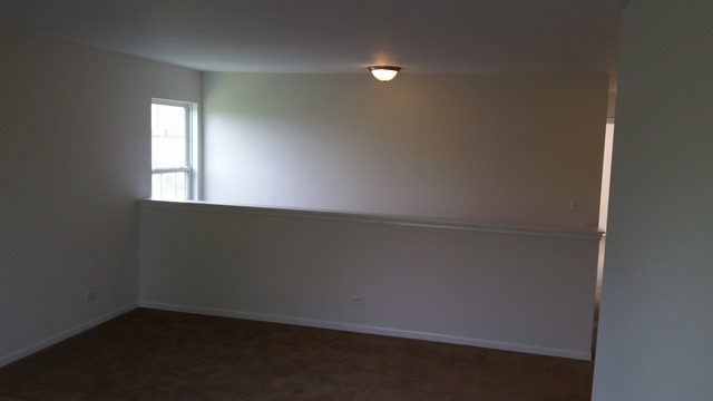 247 Lillian Pl, Bartlett, IL 60103 photo 22