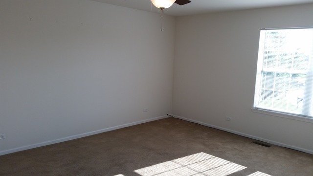 247 Lillian Pl, Bartlett, IL 60103 photo 21
