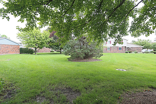 1654 Darwin Ct, Wheaton, IL 60189 photo 19