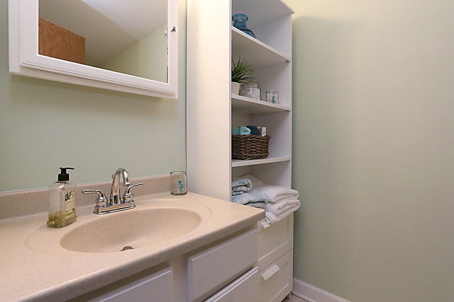 1654 Darwin Ct, Wheaton, IL 60189 photo 15