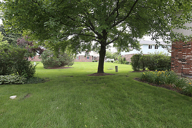 1654 Darwin Ct, Wheaton, IL 60189 photo 18