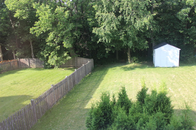 2834 Sun Valley Dr, Plainfield, IL 60586 photo 15