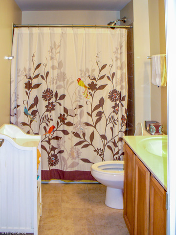 50 E 16th St #1310, Chicago, IL 60616 photo 16