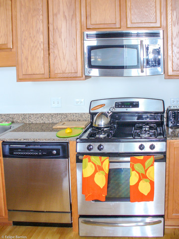 50 E 16th St #1310, Chicago, IL 60616 photo 12