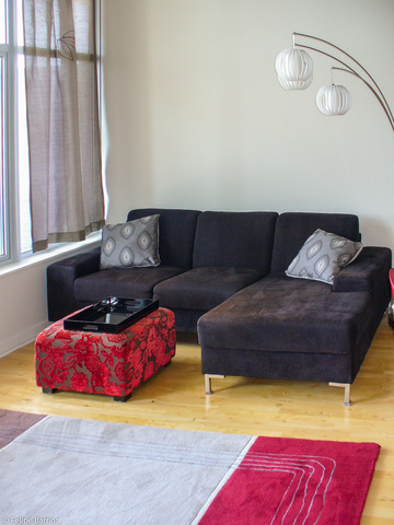 50 E 16th St #1310, Chicago, IL 60616 photo 7
