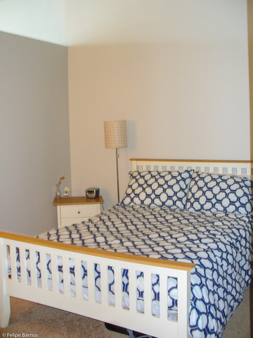 50 E 16th St #1310, Chicago, IL 60616 photo 14