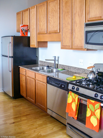 50 E 16th St #1310, Chicago, IL 60616 photo 11