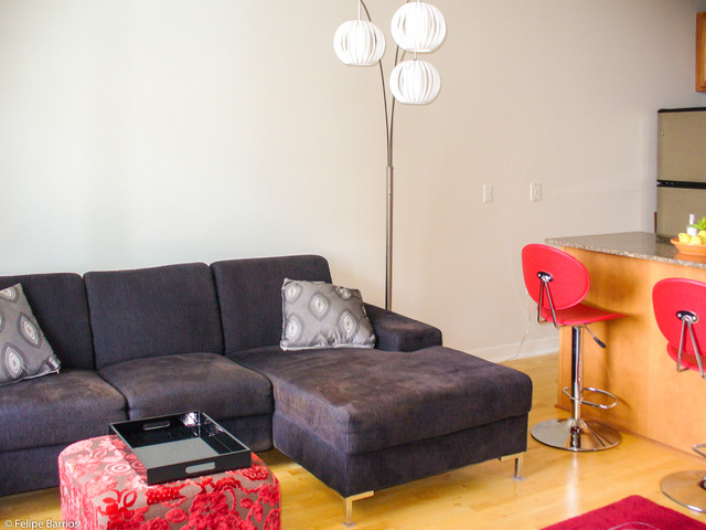 50 E 16th St #1310, Chicago, IL 60616 photo 6