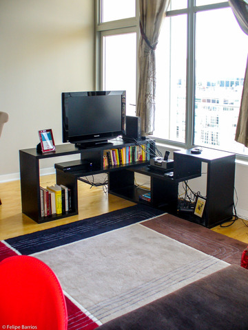 50 E 16th St #1310, Chicago, IL 60616 photo 8