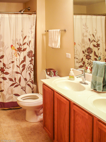 50 E 16th St #1310, Chicago, IL 60616 photo 15