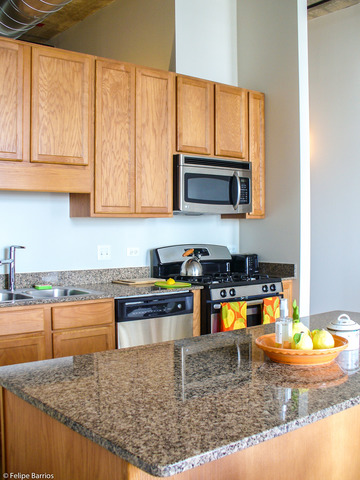50 E 16th St #1310, Chicago, IL 60616 photo 13