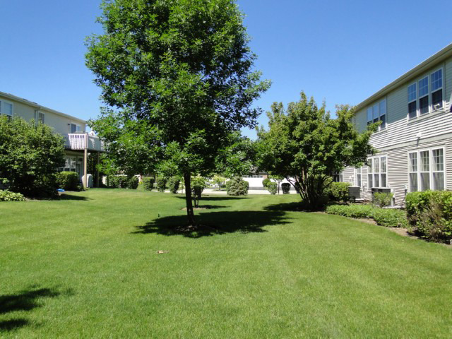 1585 Millbrook Dr, Algonquin, IL 60102 photo 15