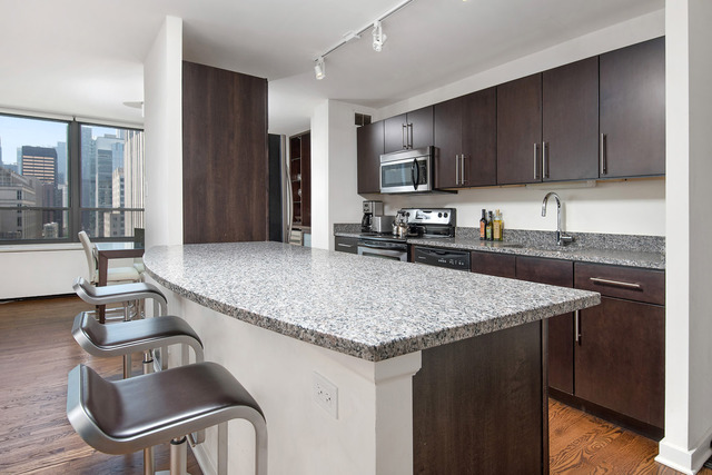 222 E Pearson St #2202, Chicago, IL 60611 photo 4