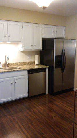 101 Newcastle Ct, Rolling Meadows, IL 60008 photo 8