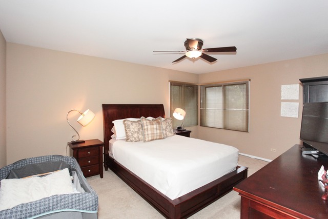101 Newcastle Ct, Rolling Meadows, IL 60008 photo 10