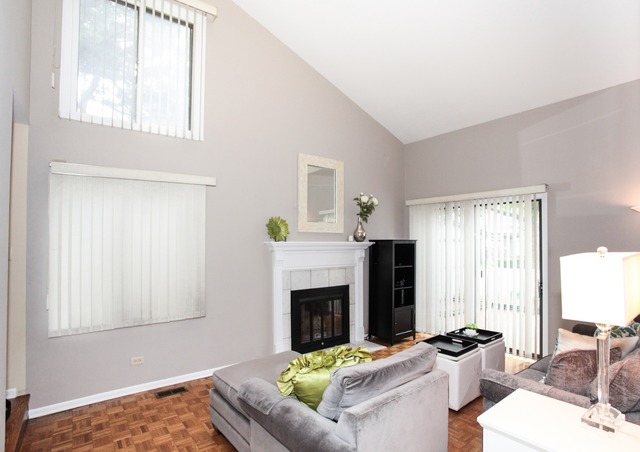 101 Newcastle Ct, Rolling Meadows, IL 60008 photo 6