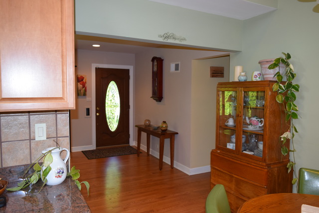 981 E Walnut Ave, Des Plaines, IL 60016 photo 6