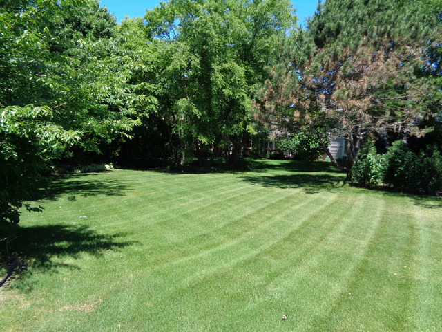 1129 Belter Dr, Wheaton, IL 60189 photo 11