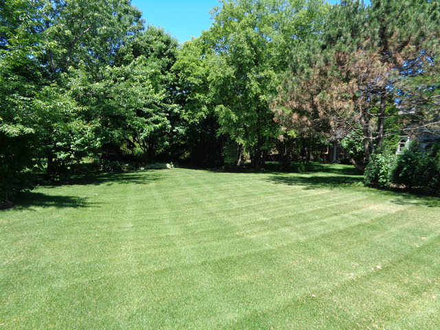1129 Belter Dr, Wheaton, IL 60189 photo 12