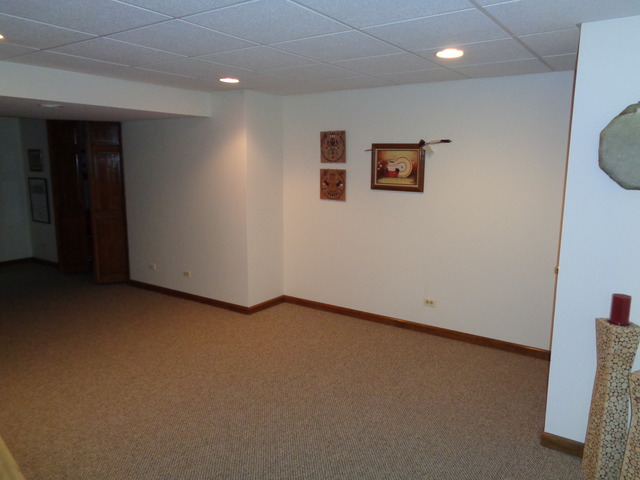 1129 Belter Dr, Wheaton, IL 60189 photo 23