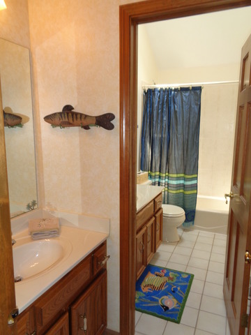 1129 Belter Dr, Wheaton, IL 60189 photo 20