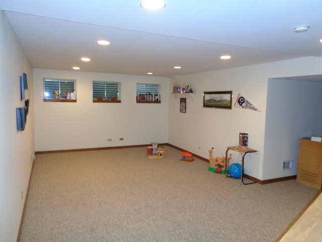 1129 Belter Dr, Wheaton, IL 60189 photo 22