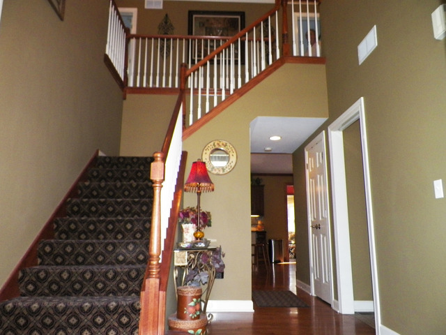 12549 Lily Ln, Plainfield, IL 60585 photo 3