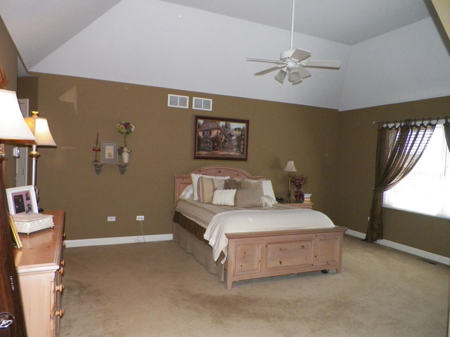 12549 Lily Ln, Plainfield, IL 60585 photo 17