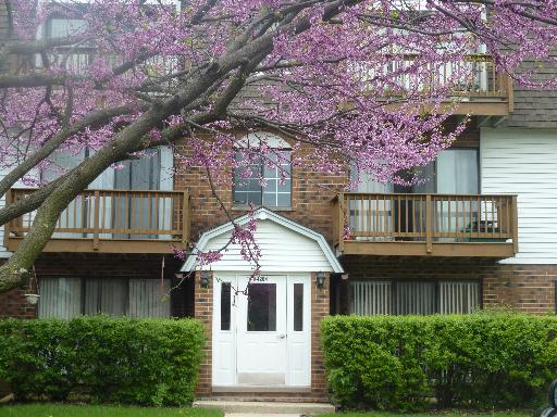 4204 Central Rd #2B, Glenview, IL 60025 photo 24