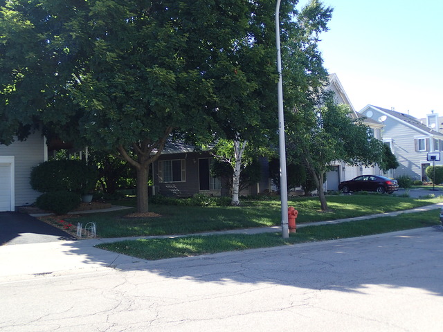 2146 Colorado Ave, Elgin, IL 60123 photo 18