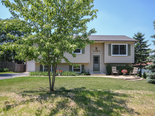 2103 Old Elm Rd, Lindenhurst, IL 60046 photo 1