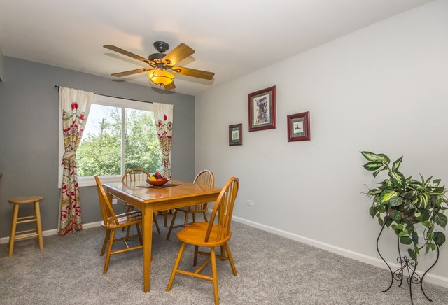 2103 Old Elm Rd, Lindenhurst, IL 60046 photo 13