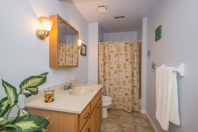 2103 Old Elm Rd, Lindenhurst, IL 60046 photo 18