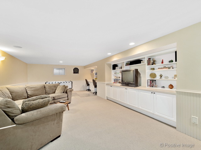 7717 Appletree Ln, Willowbrook, IL 60527 photo 22