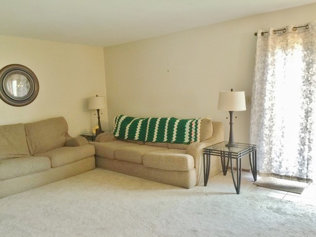 1855 Lisson Rd, Naperville, IL 60565 photo 9