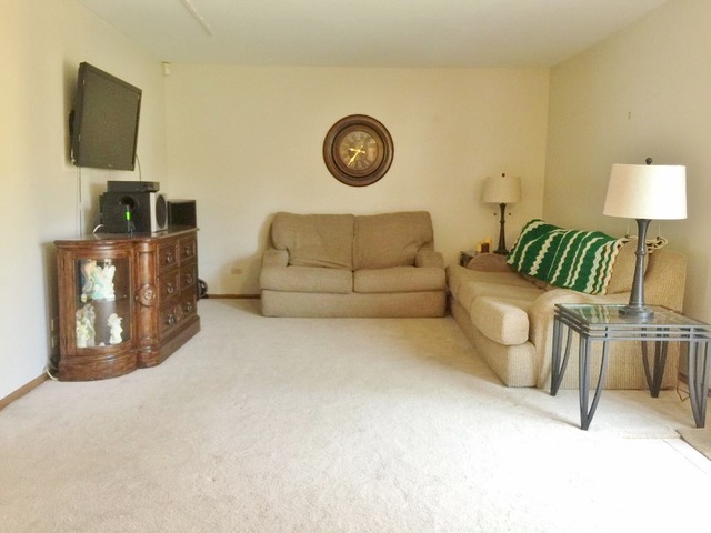 1855 Lisson Rd, Naperville, IL 60565 photo 8