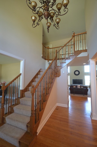12924 Peppertree Dr, Plainfield, IL 60585 photo 14