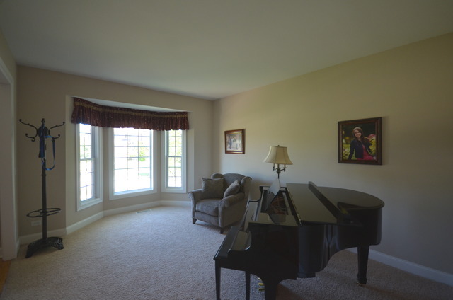 12924 Peppertree Dr, Plainfield, IL 60585 photo 11