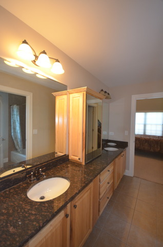 12924 Peppertree Dr, Plainfield, IL 60585 photo 20
