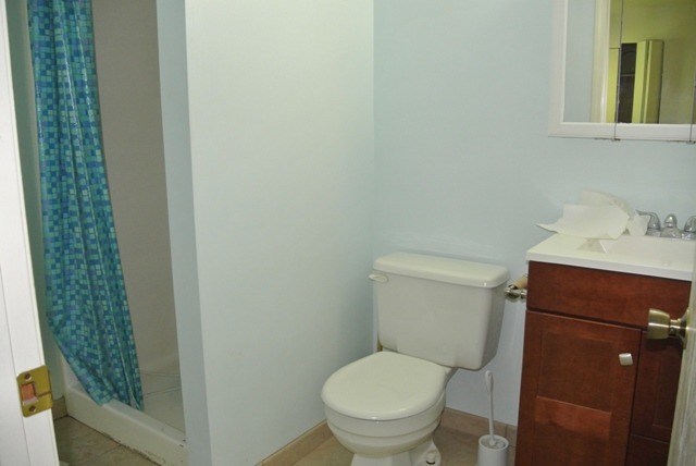 522 Shenandoah Trl, Elgin, IL 60123 photo 18