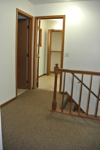 522 Shenandoah Trl, Elgin, IL 60123 photo 19